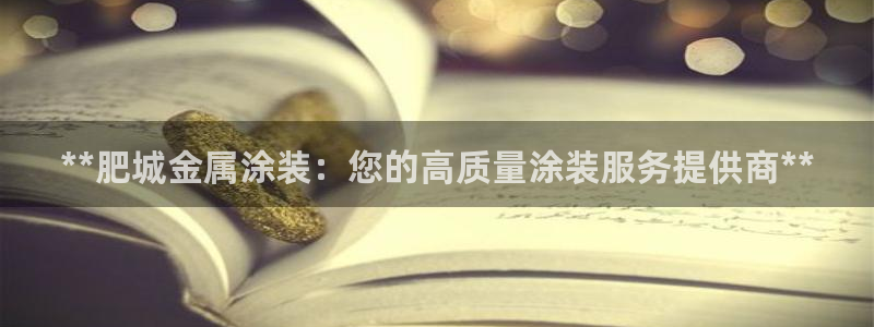 美高梅控股有限公司
