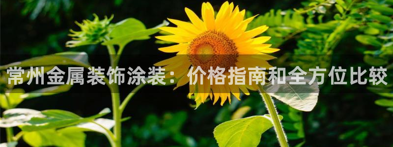 美高梅里的钱冻结了怎么办