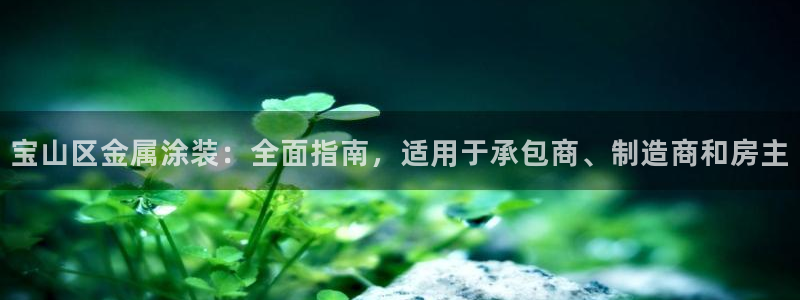 美高梅控股有限公司是国企吗