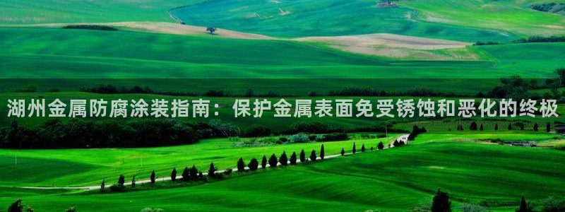 美高梅中国集团简介