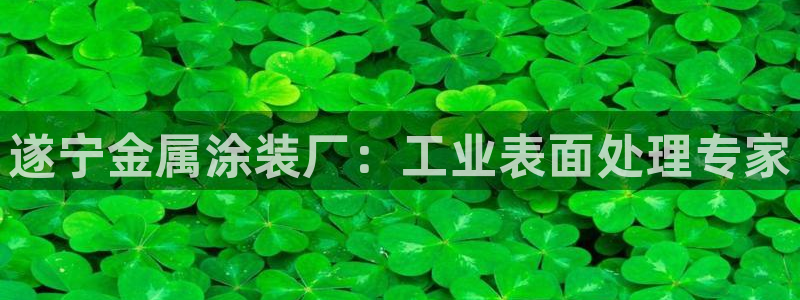 美高梅酒店赔偿价目表