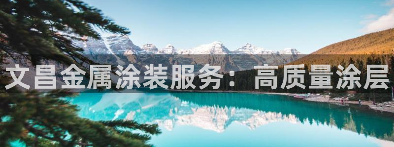 美高梅黑卡条件