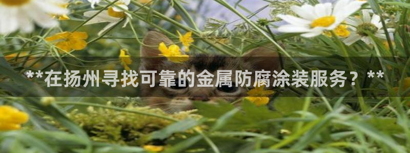 美高梅国际酒店集团和何超琼