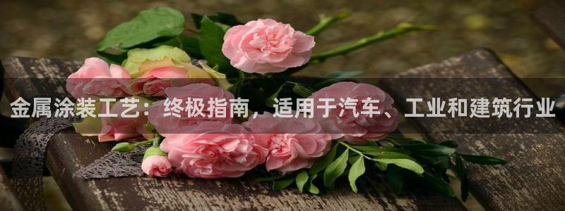 美高梅狮王卡是什么