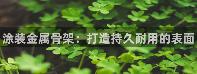 美高梅衣服外套
