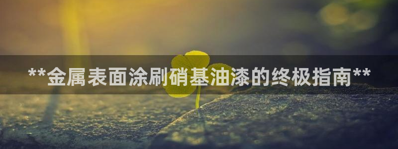 美狮美高梅酒店设计师