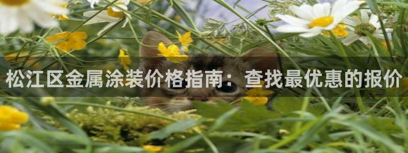 美高梅充值多少钱能提现到银行卡