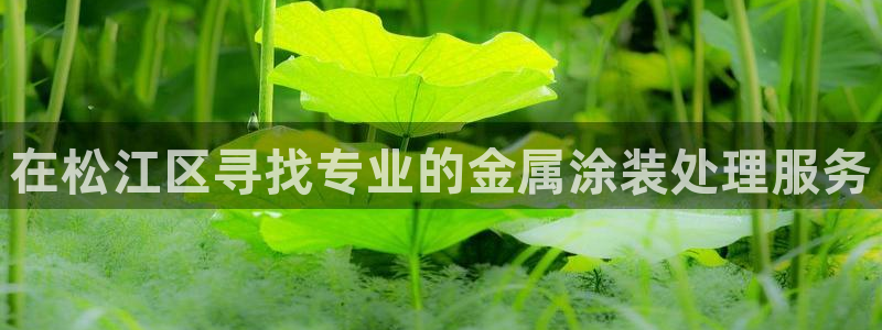 澳门有几家美高梅酒店