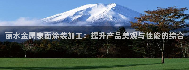 美高梅公司发展历程