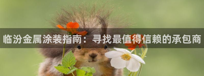 美高梅佛手柑润肤露怎么样