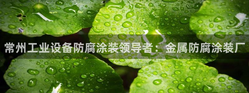 澳门的美高梅酒店外观视频