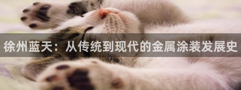 美高梅酒店标志logo