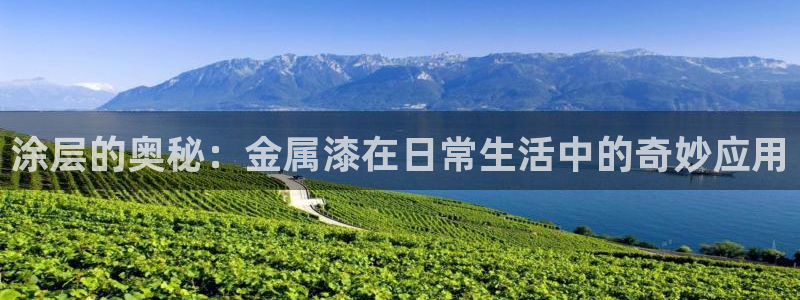 美高梅酒店赔偿价目表