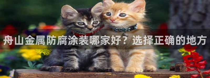 美高梅公司是做什么的