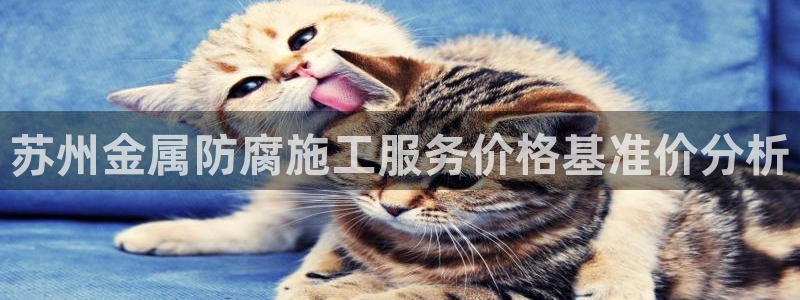 美狮美高梅酒店里的娱乐场承包出去了吗