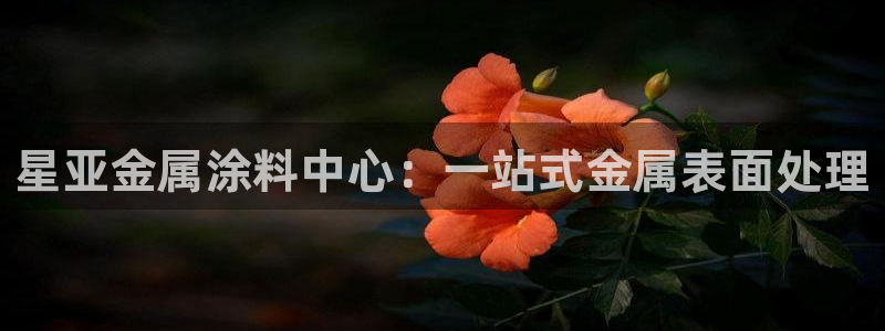 美狮美高梅酒店几点退房