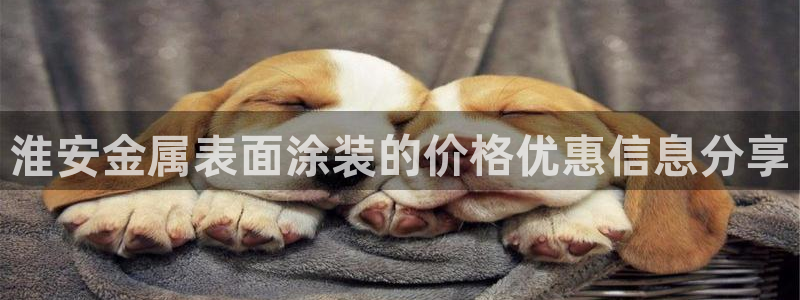 美狮美高梅酒店名字由来