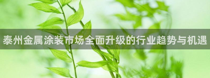 美高梅酒店澳门几星级