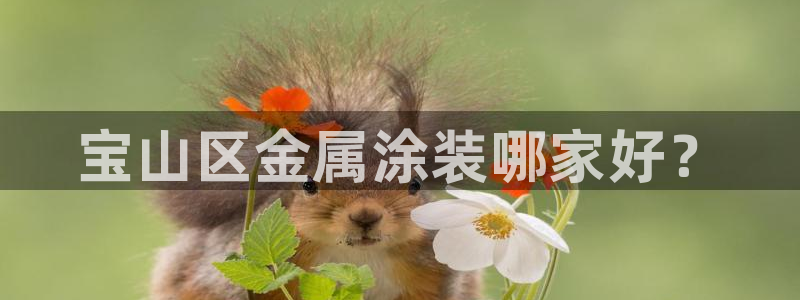 美高梅儿童托管怎么样知乎