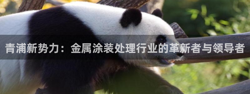 美高梅酒店官网：青浦新势力：金属涂装处理