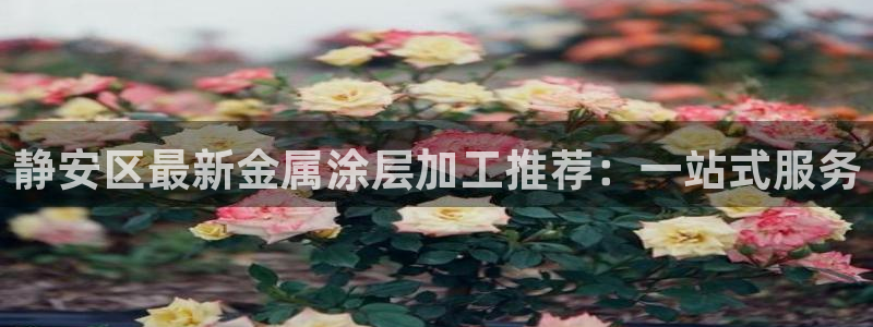 美高梅何超琼多少股份