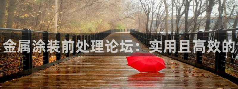 美高梅国际酒店集团资产