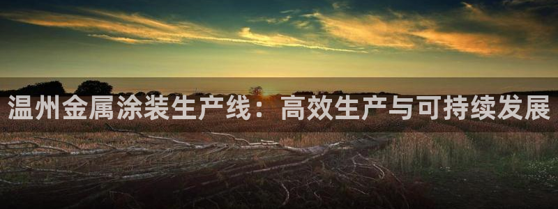 美高梅官网版是正品吗