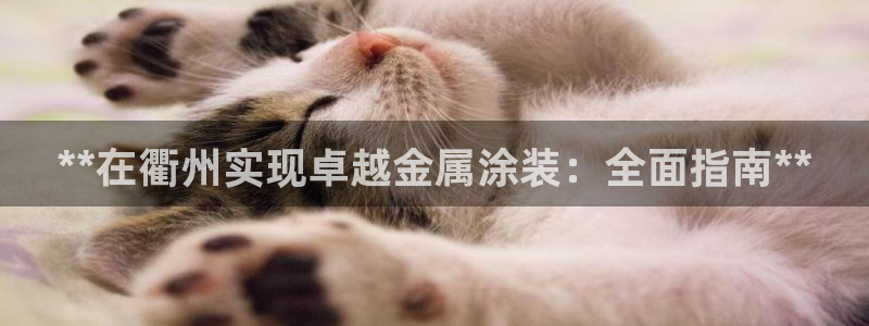 美高梅大酒店哪些省份有